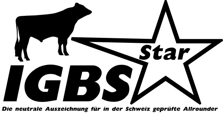Logo IGBS Star