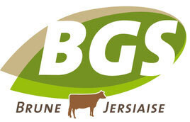 Logo BGS (Brun Génétique Services)
