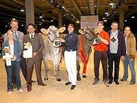 IGBS-Schau 2005. Schausiegerinnen