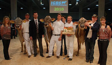 Siegerinnen IGBS-Schau 2010
