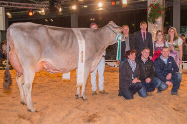 Jongleur ELISA gewinnt IGBS-Schau 2016
